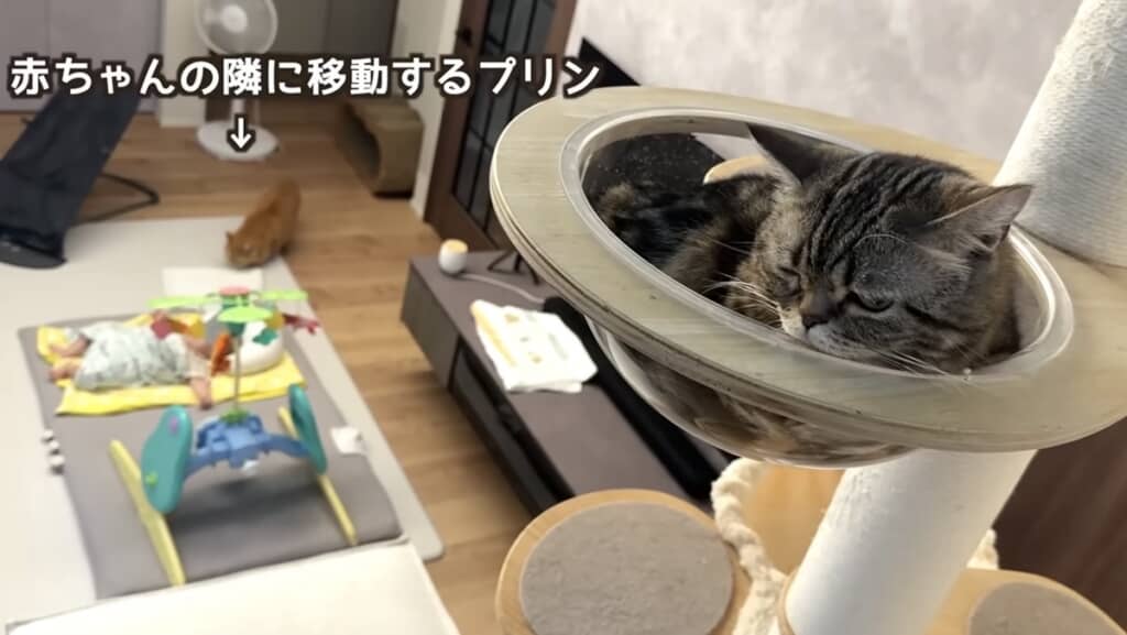 息子くんの隣へ移動