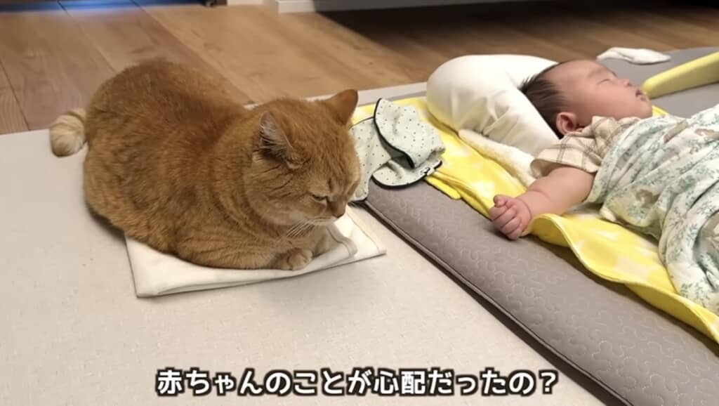 息子くんのことが心配だったのかな？