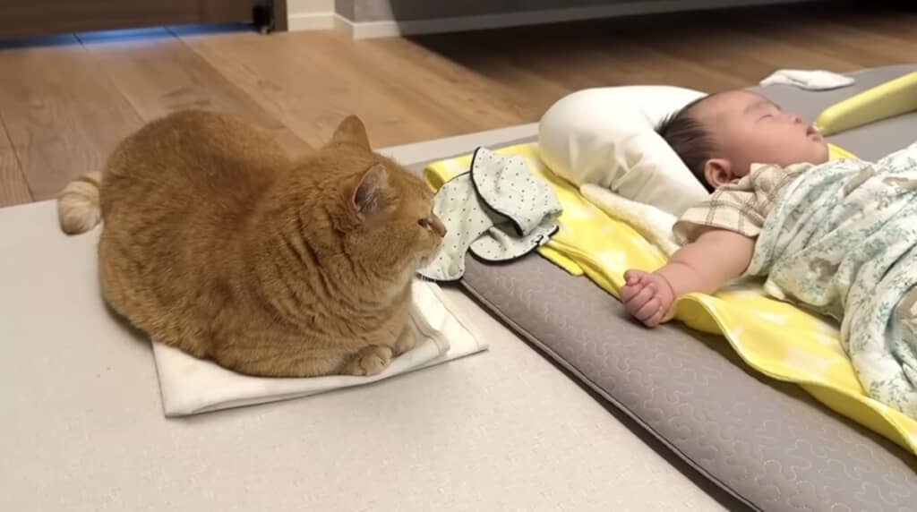 優しい眼ざしで見守ってくれました◎