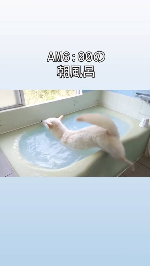 自ら湯船へ入ります