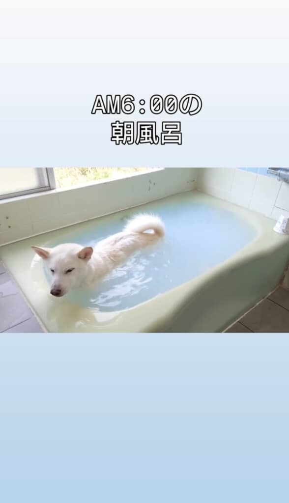 気持ちよさそう