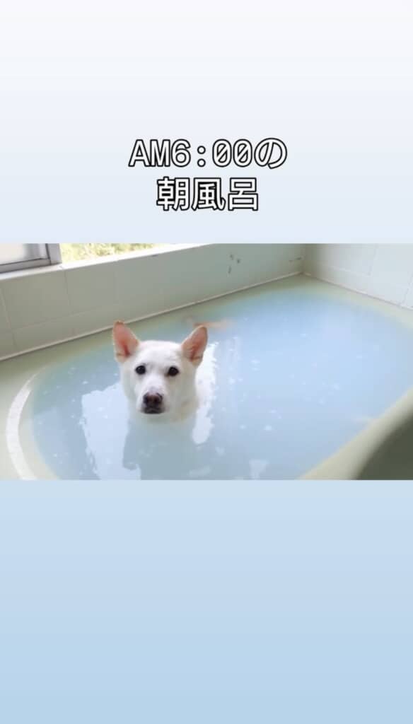 ゆ〜っくりとお座り
