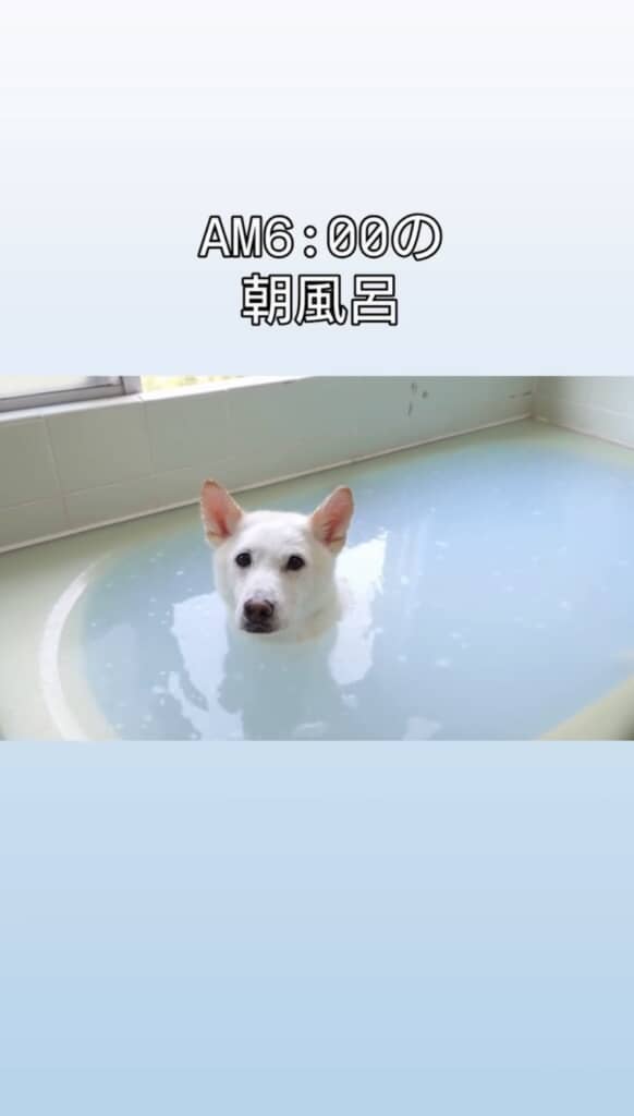 ずっとカメラ目線でかわいい