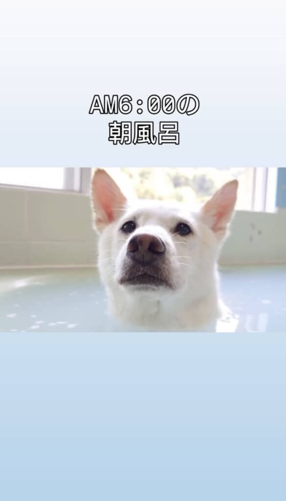 お風呂気持ちいいね◎