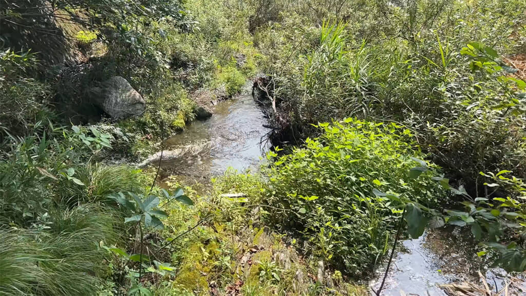 詰まりを取り除き、水の流れを戻していきます