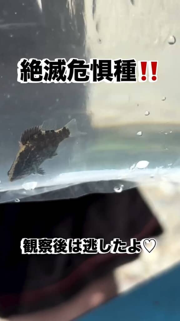観察後は元の川へ。これからもお元気で