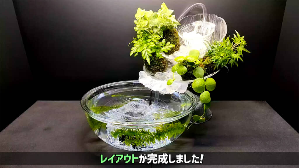 レイアウトの完成です!