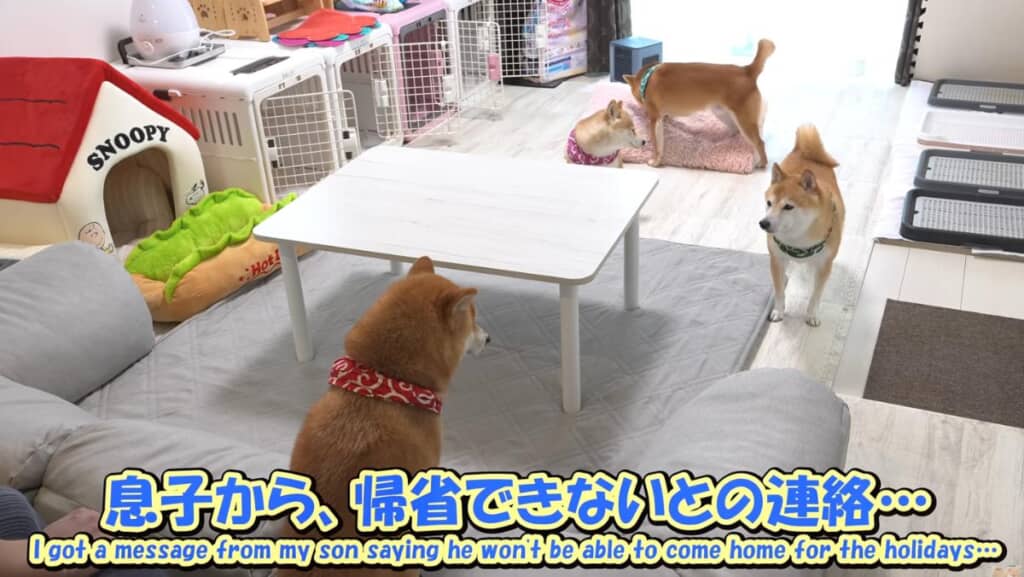お兄ちゃんにトラブル発生!?