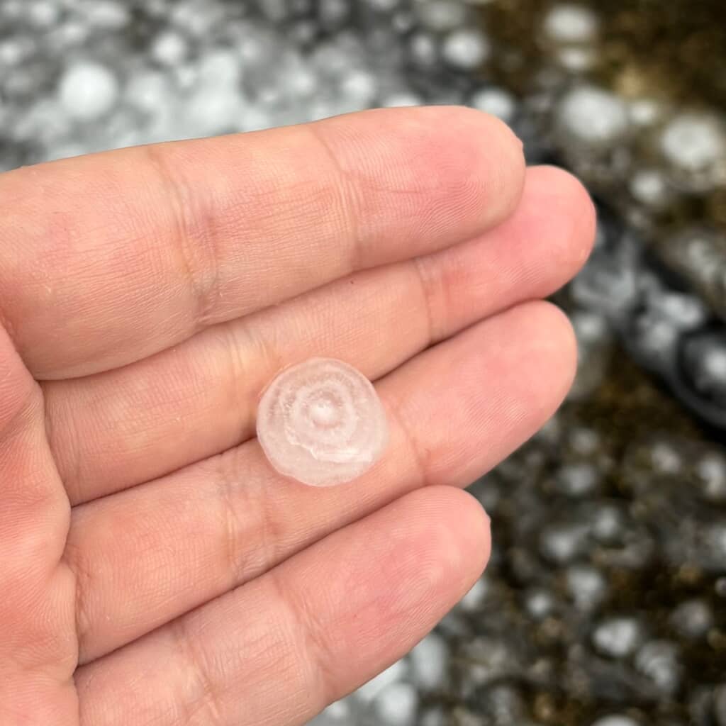 雹(ひょう)を割ってみたら年輪みたいでびっくり!