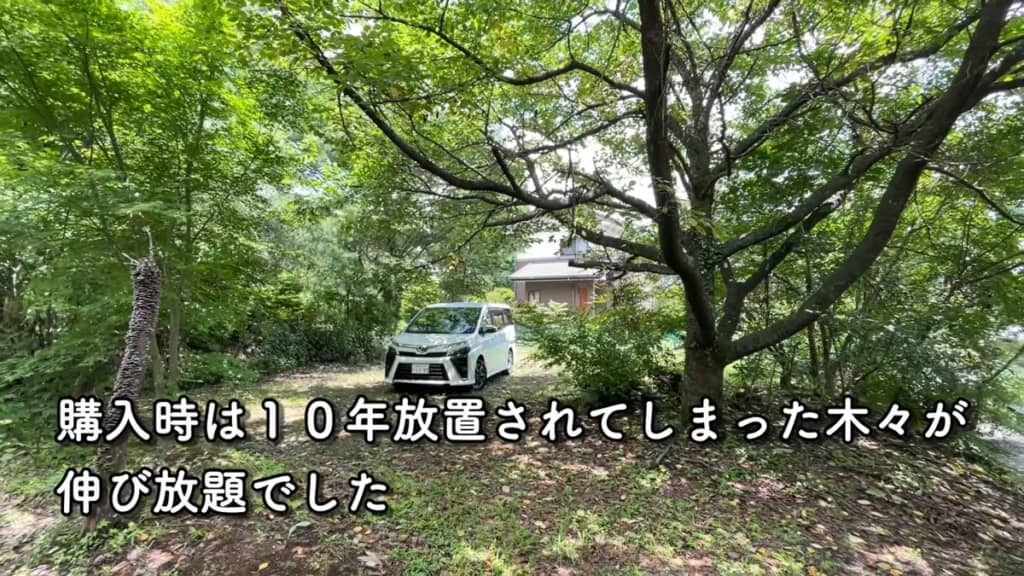 購入した時点では敷地内の木が伸び放題だった家