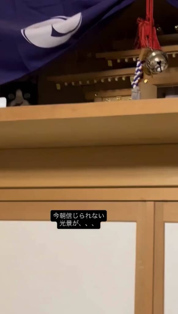 こちらを見ている