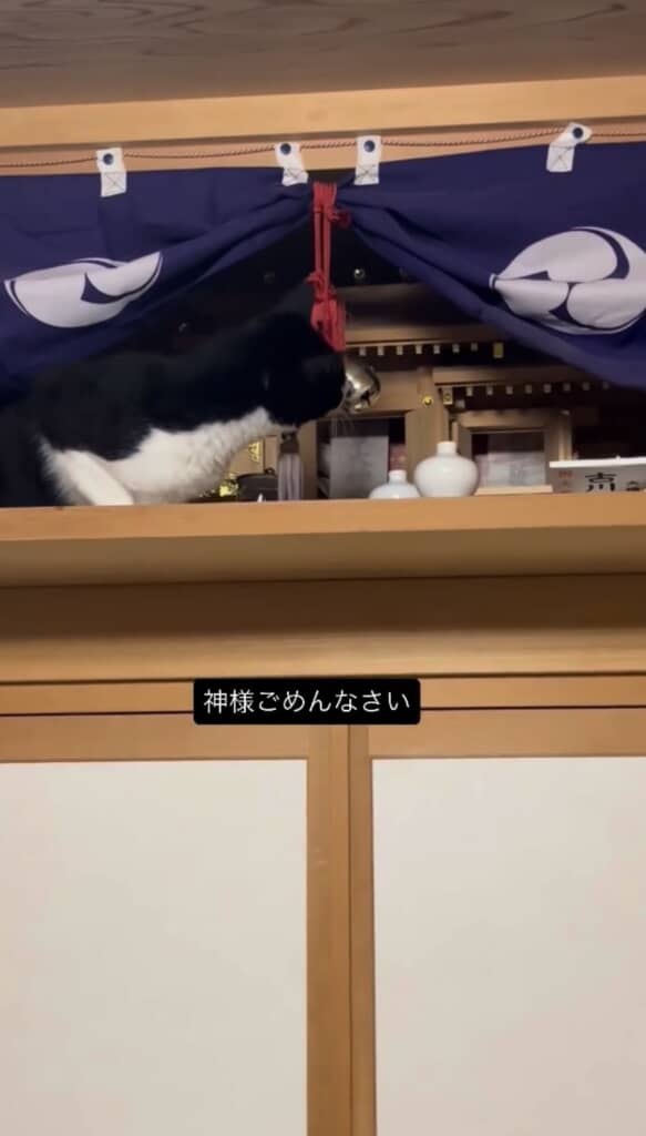 そうやって鈴を鳴らしてたんだね!