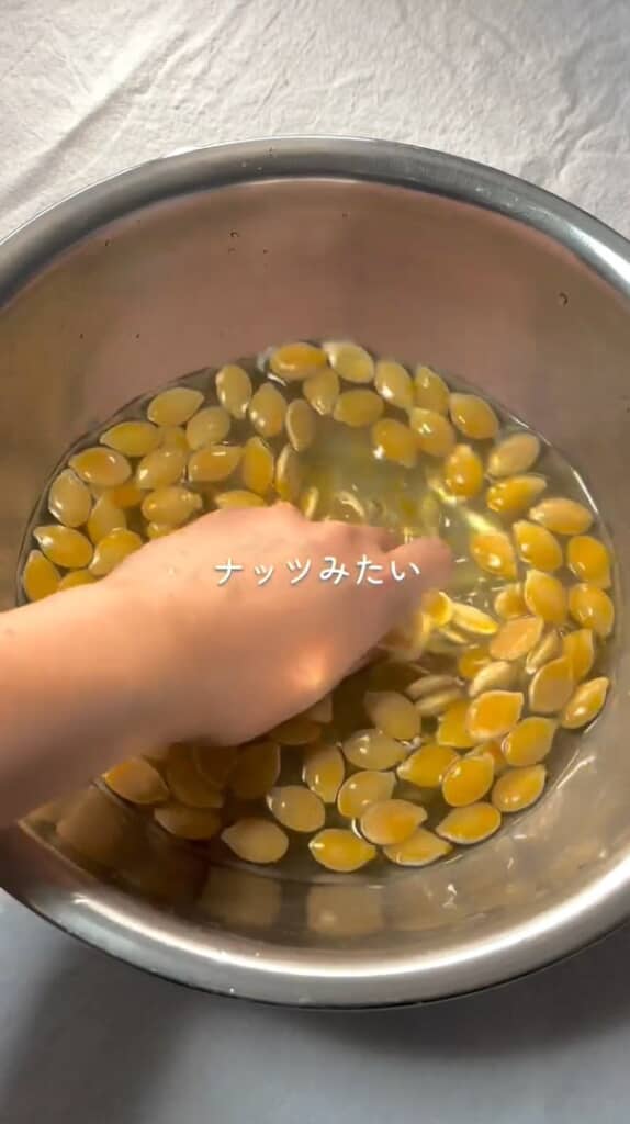 ワタを取った種を「ナッツみたい」だと言うたなりーさん