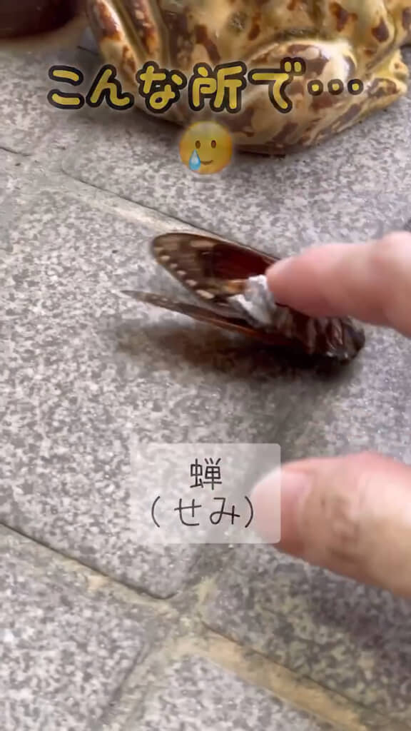 指を差し出すとしがみついた