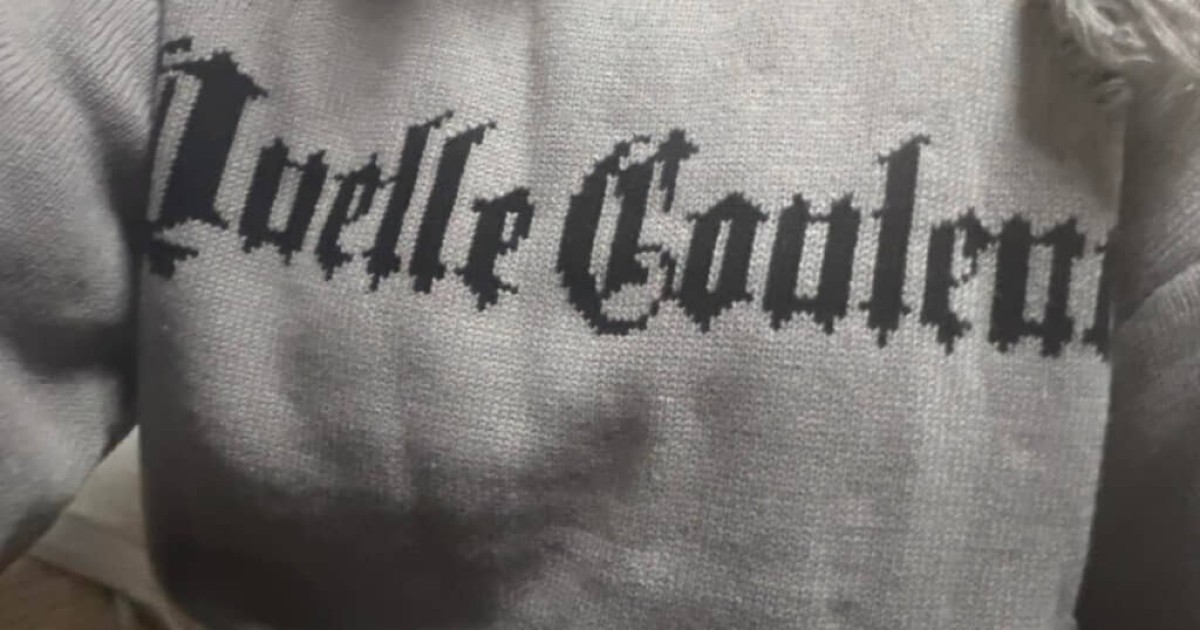しまむらでかわいいと思って買った服、家で着てみたら…… 母の“とんでもないツッコミ”に爆笑「結構なパワーワード笑」「地球救ってきた?」 投稿者に話を聞いた(1/3) | 女性 ねとらぼ
