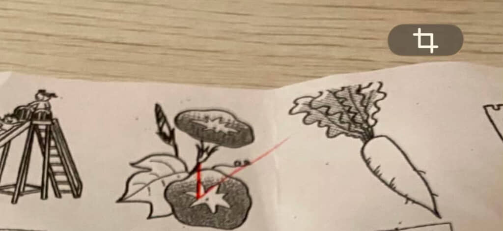 絵で描かれたものの名前を書くプリント