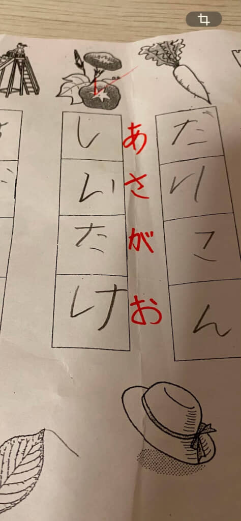シイタケみたいなアサガオの絵