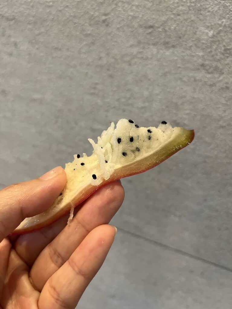 ブドウや梨のように甘く、冷やして食べたらおいしいとのこと