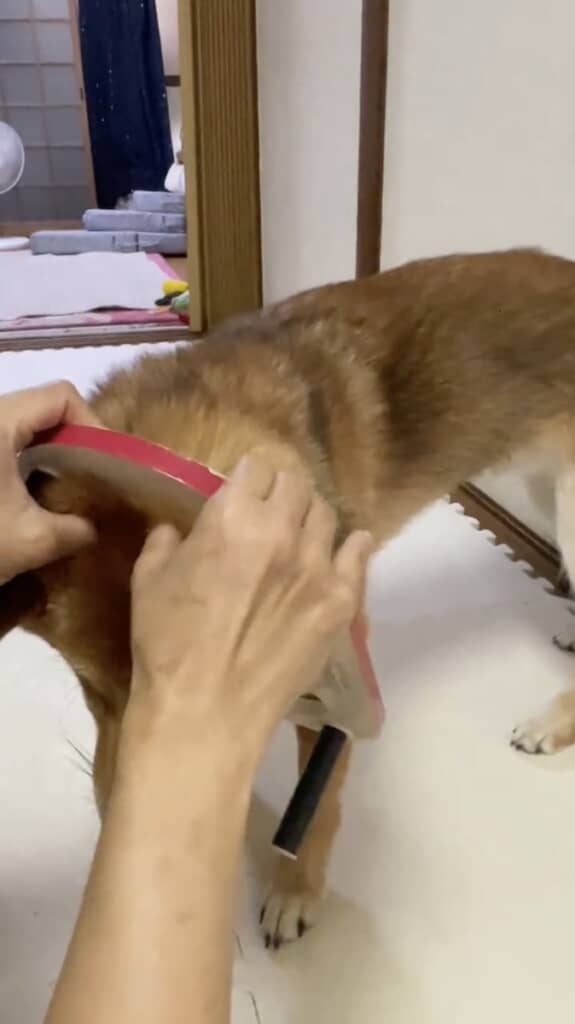 ご飯台が頭から抜けなくなってしまった子犬ちゃん