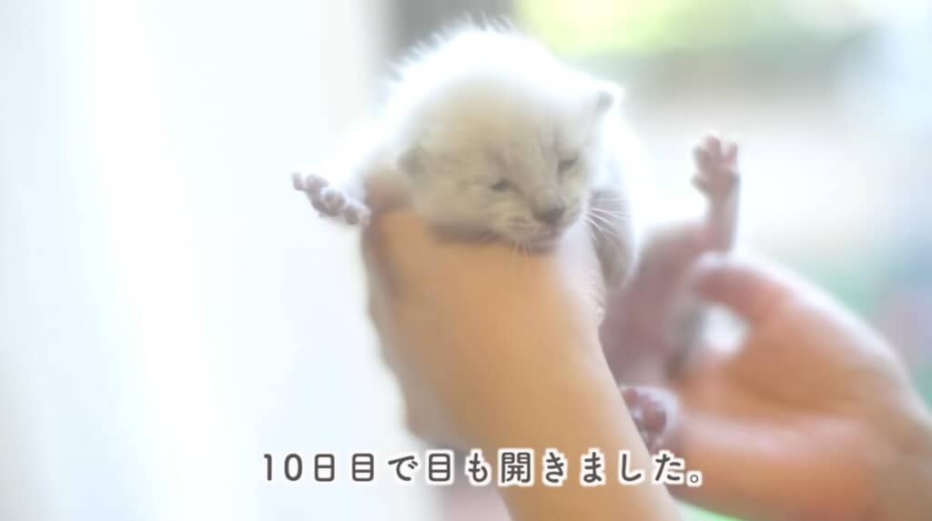 すくすくと成長しています