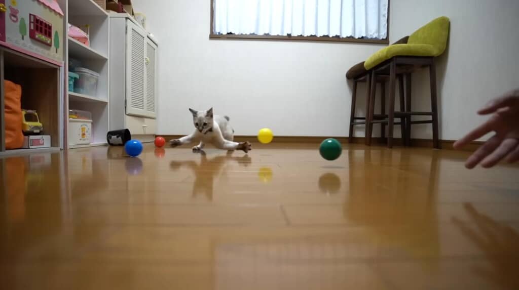 高い身体能力でボールを操ってる!?