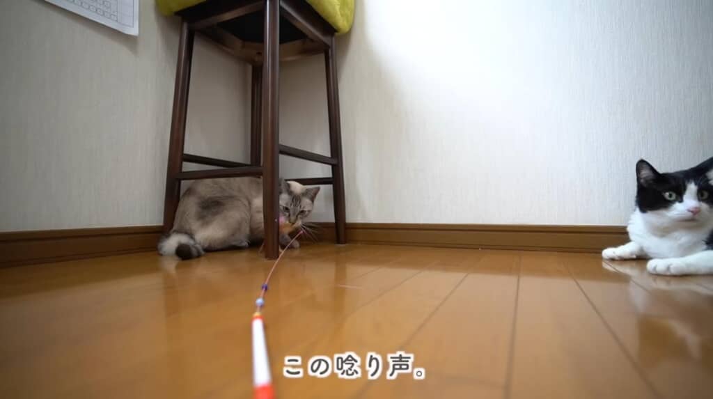 恐竜のような唸り声