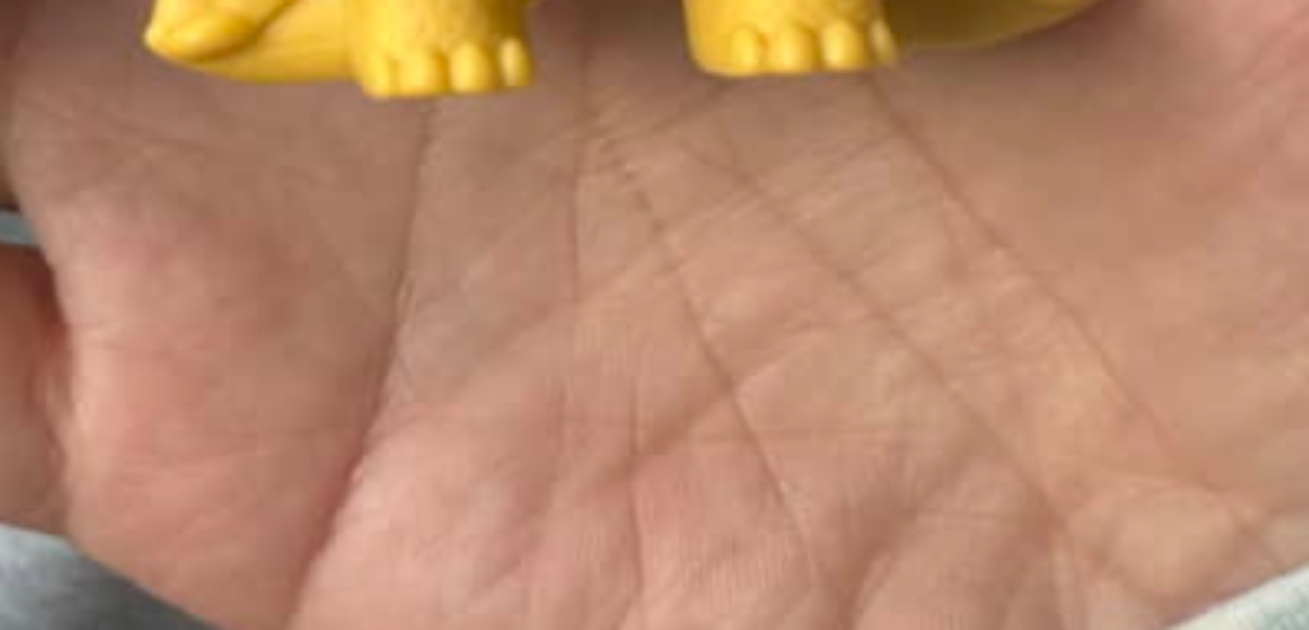 マクドナルドで“ハッピーセット”を購入→箱を開けると…… 驚きの中身に「ごめん、声出た」「めちゃくちゃ可愛い」(1/3) | ライフスタイル ねとらぼ