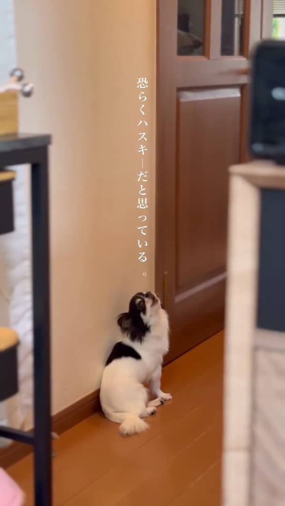 かわいすぎ！