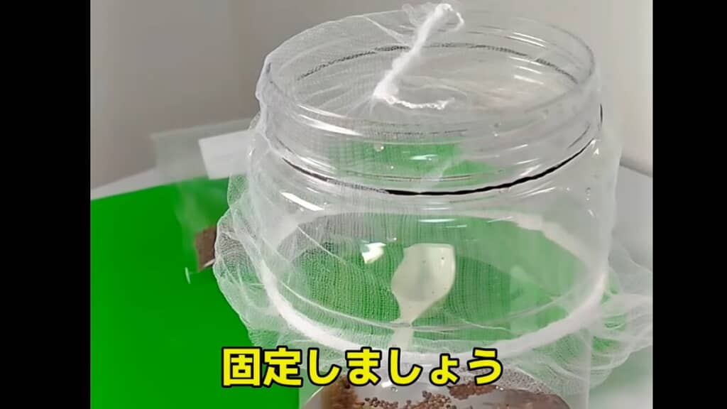 水切りネットをかぶせて輪ゴムでとめます
