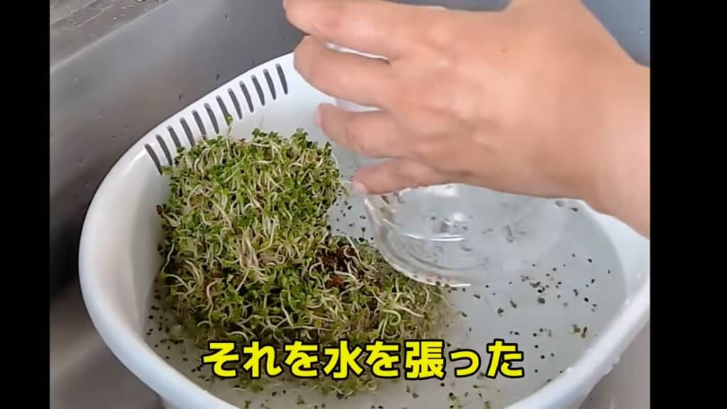 水を張ったタライに中身を出します