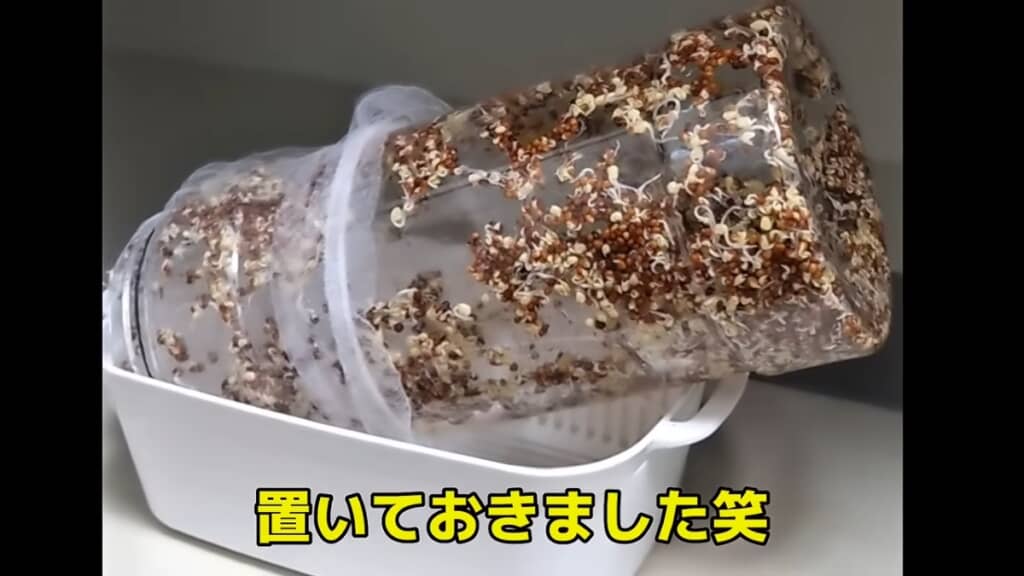 容器を斜めに傾けて置きます