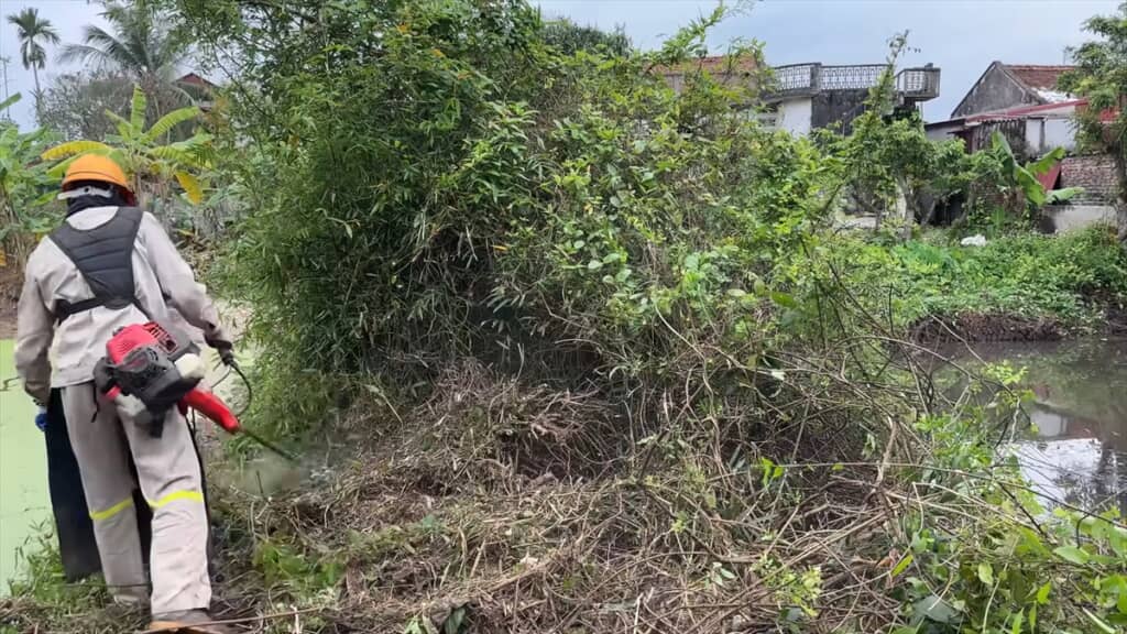 25年放置されて草で覆われた池を清掃