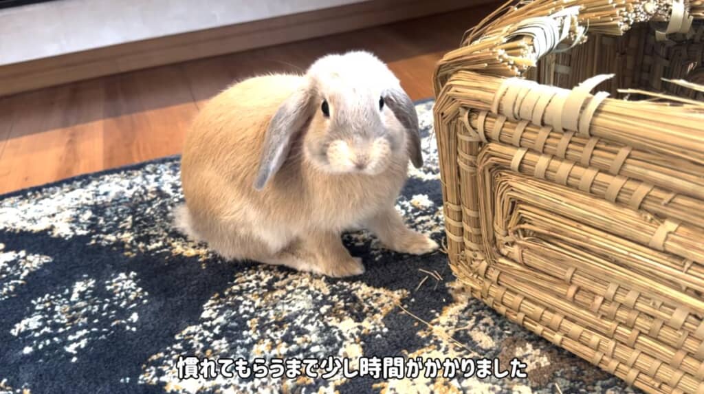 とっても臆病かつ人見知りでした