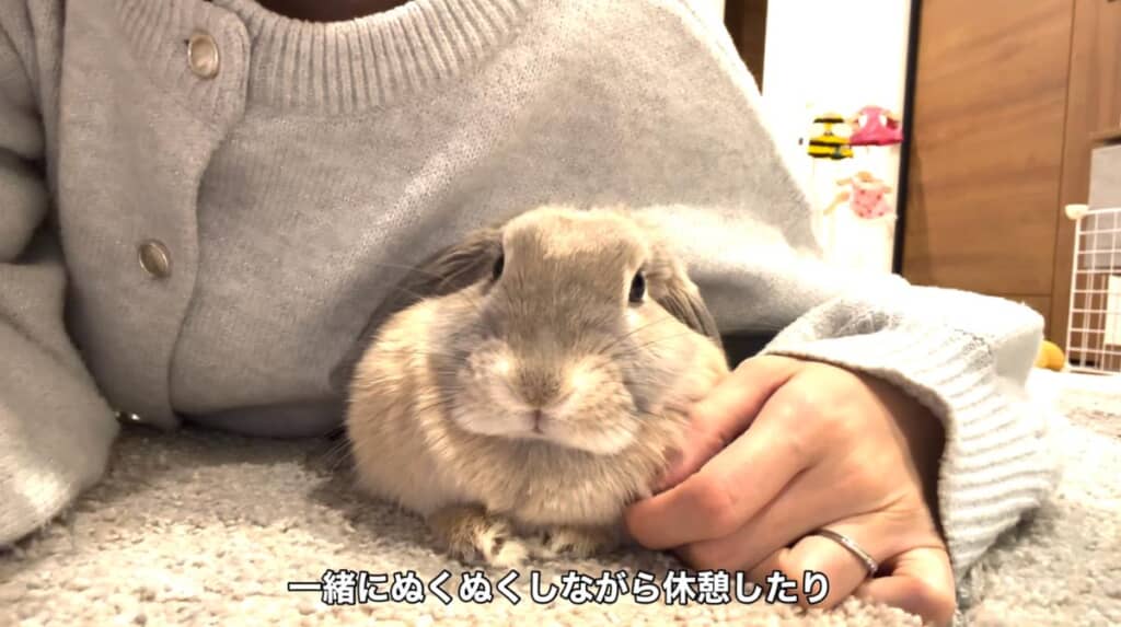 一緒にぬくぬく休憩