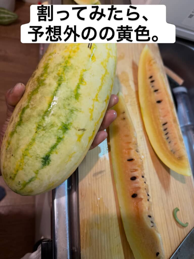 細長い楕円形のスイカを切った状態