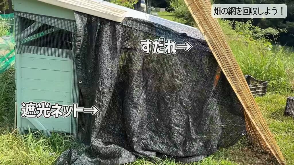 ガチョウのヒナが暮らしている小屋