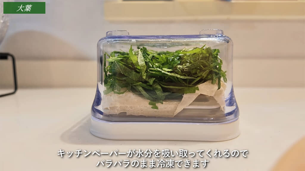 大葉は保存容器を使うことをおすすめします