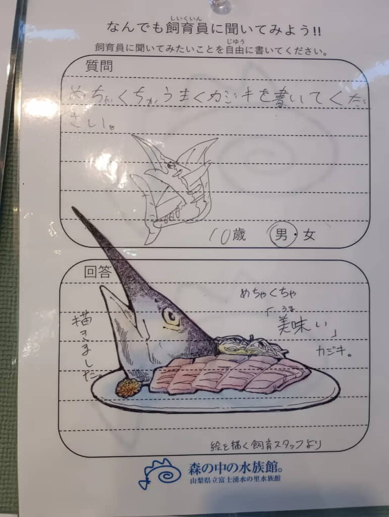 迫力満点のお刺身に