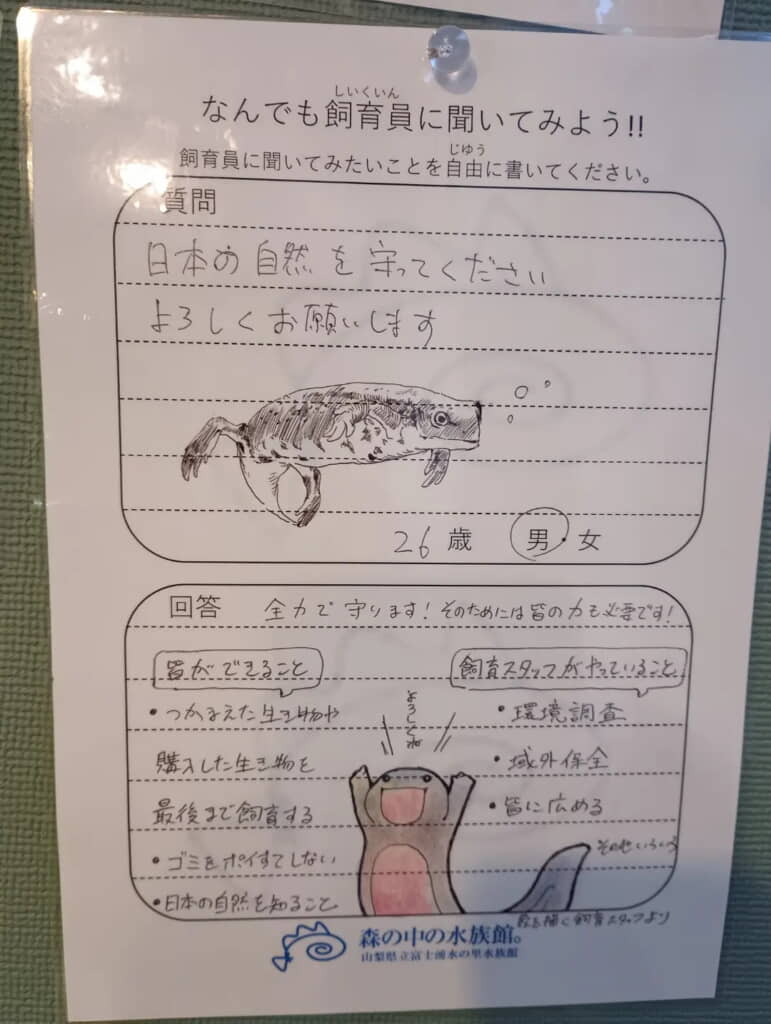 丁寧に答えてくれます