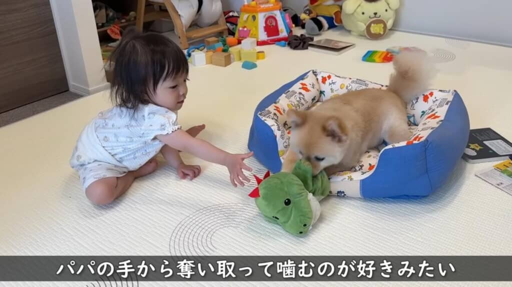 早く一緒に遊べるといいね！