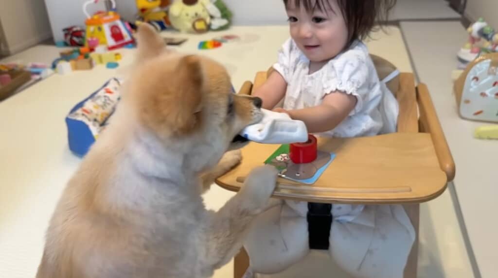 1歳になったゆずちゃんは、おやつを上手にあげられるように