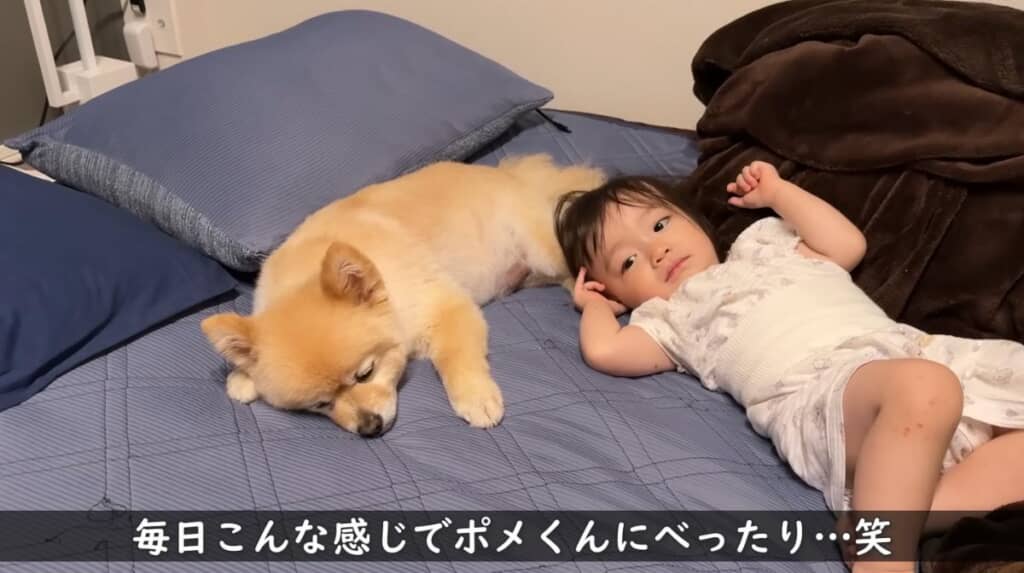 相思相愛な関係に癒やされます