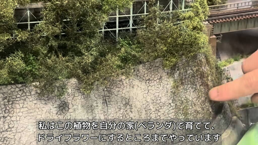 草木の表現においては、節約のために自家栽培の植物を乾燥させる工夫も