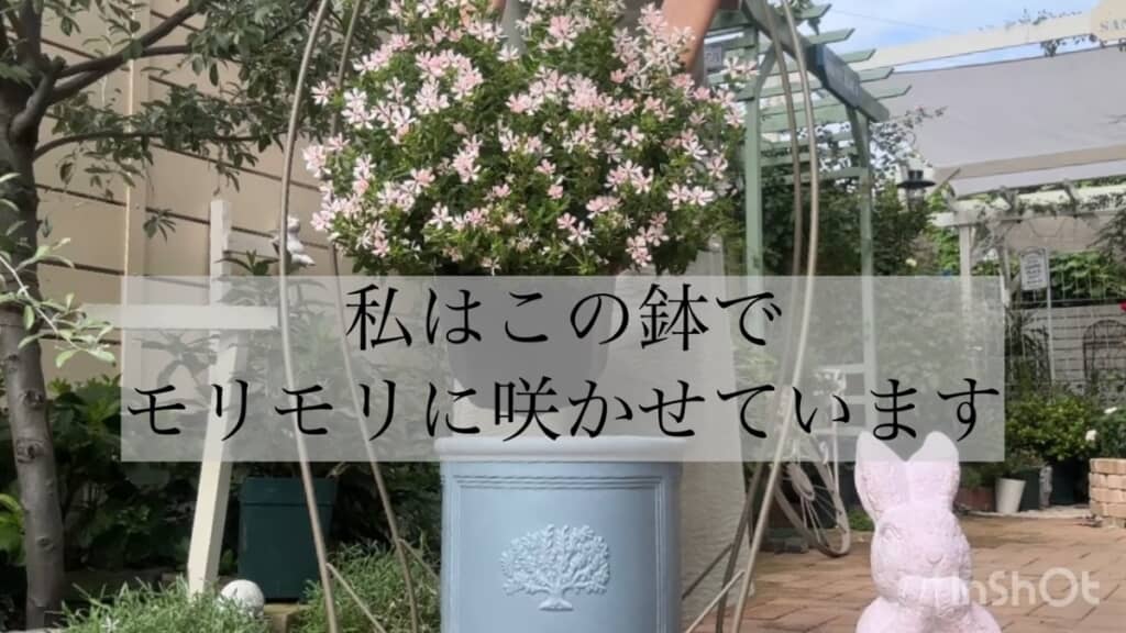 ガーデニングにおすすめの植木鉢