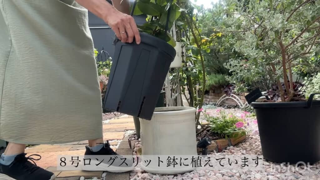 スリット鉢なら軽量で持ち上げやすい