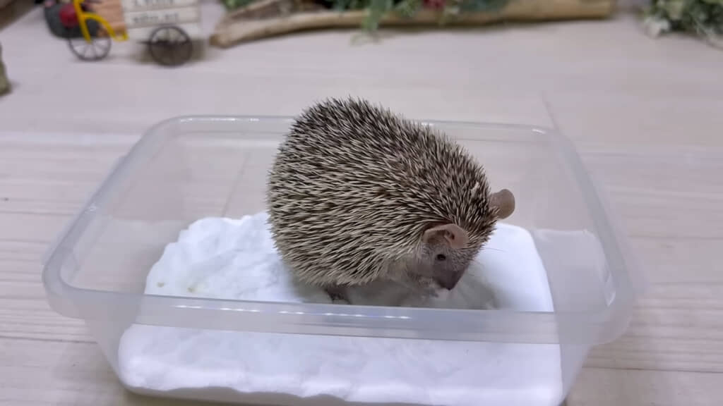 手に取った砂をこすりあわせて……