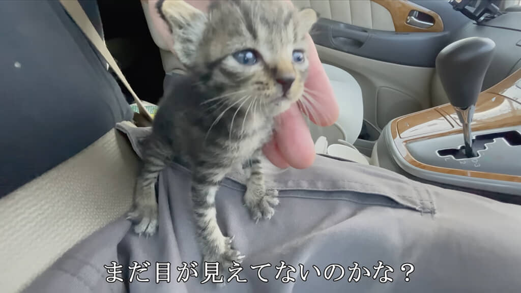 落ち着かない様子