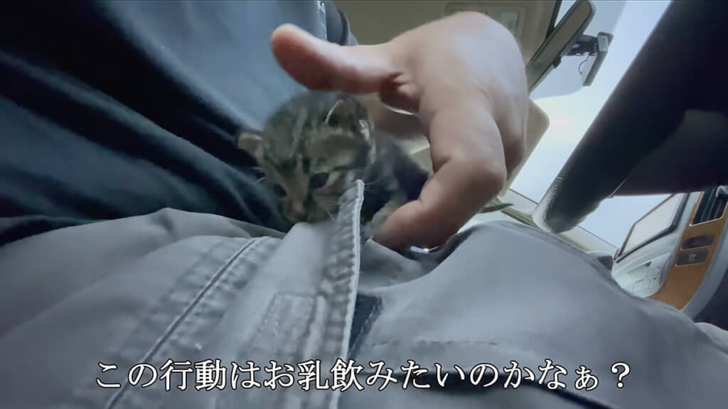 ミルクが欲しいのでしょうか