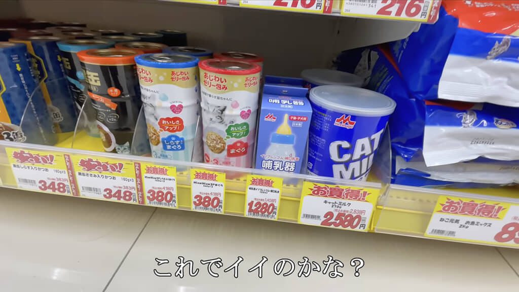 子猫用のミルクを準備