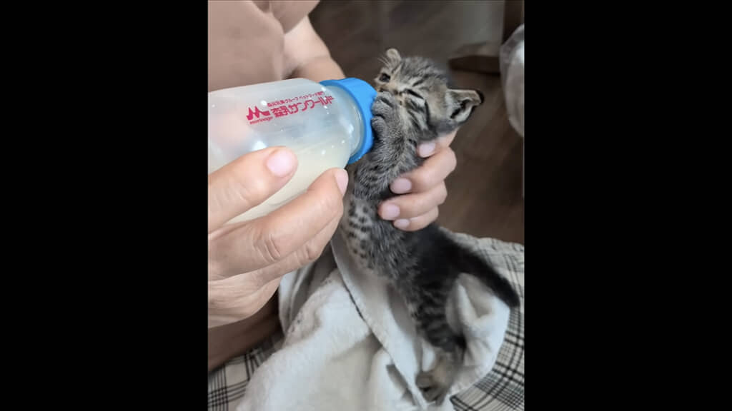 飲ませてみると……